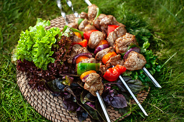 Image showing Shashlik On The Grass