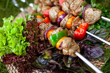 Image showing Shashlik On The Grass