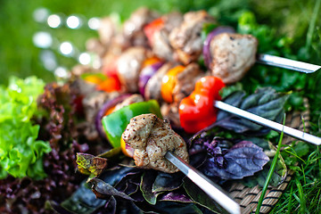 Image showing Shashlik On The Grass