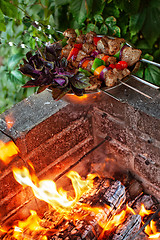 Image showing Shashlik And Fire