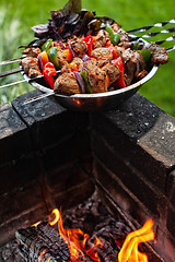 Image showing Shashlik And Fire