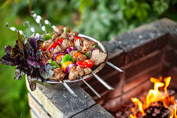 Image showing Shashlik And Fire