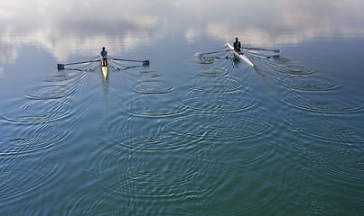 Image showing Two scull rowing competitor, rowing race two rower