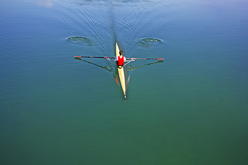 Image showing Single scull rowing competitor, rowing race one rower