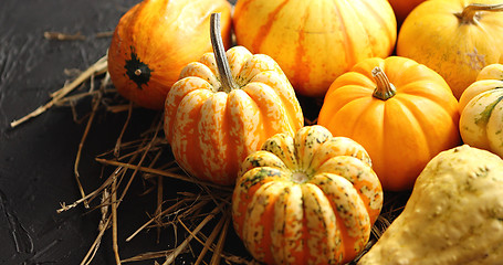 Image showing Heap of pumpkins with hay