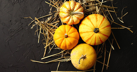 Image showing Yellow pumpkins laid on hay