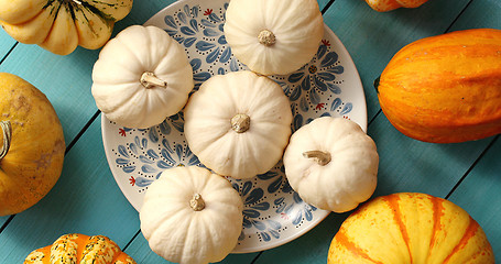 Image showing White pumpkins laid on plate