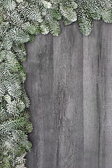 Image showing Spruce Fir Background Border