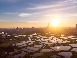 Image showing Cityscape of Shenzhen, China