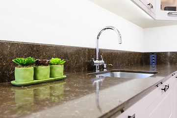 Image showing Succulent plants at the kitchen