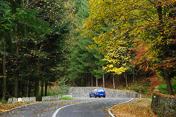 Image showing Car in the forest at Transfagarasan road