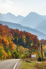 Image showing Road in the forest at Transfagarasan