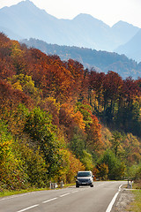 Image showing Car in the forest at Transfagarasan road