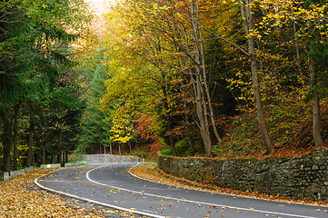 Image showing Road in the forest at Transfagarasan