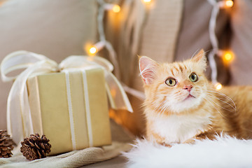 Image showing red tabby cat on sofa with christmas gift at home