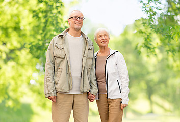 Image showing happy senior couple over green natural background