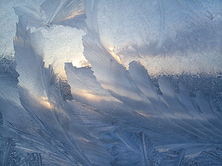 Image showing Beautiful ice pattern and sunlight