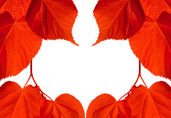 Image showing Frame of red autumn tilia leaves