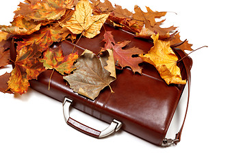 Image showing Brown leather briefcase and autumn dry leaves