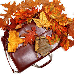 Image showing Brown leather briefcase and autumn dry leaves