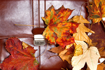 Image showing Brown leather briefcase and dry leaves