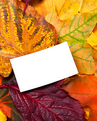 Image showing Empty business card on autumn leaves