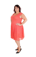 Image showing A plus size woman standing in a dress