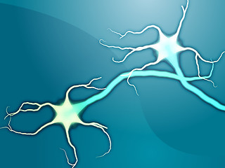 Image showing Neuron nerve cells