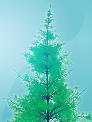 Image showing Pine tree illustration