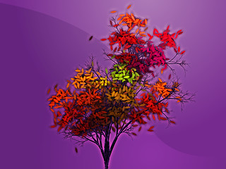 Image showing Autumn leafy tree