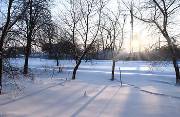 Image showing the first spring morning