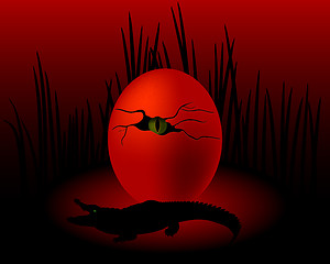 Image showing crocodile's egg with an eye