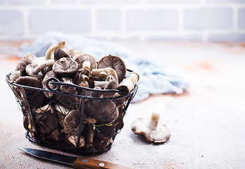 Image showing raw mushrooms