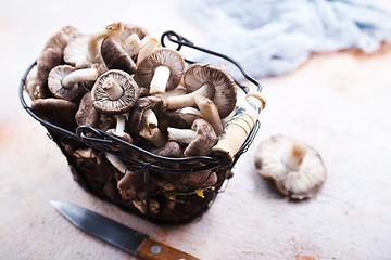 Image showing raw mushrooms