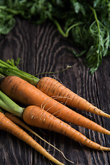 Image showing Freshly grown carrots