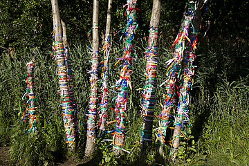 Image showing Multi-colored ribbons on a tree