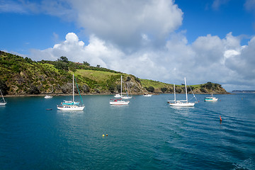 Image showing Sailing ship in Waiheke Island near Auckland, New Zealand