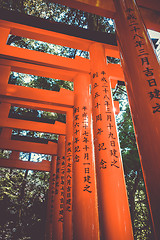 Image showing Fushimi Inari Taisha torii, Kyoto, Japan