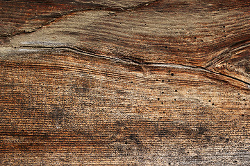 Image showing wood borers holes on wooden plank