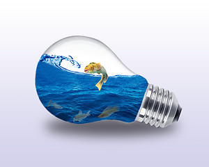 Image showing electric lamp aquarium