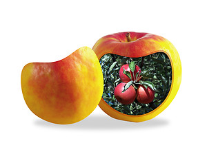 Image showing abstract composition of a cut apple