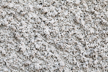 Image showing Plaster texture close-up