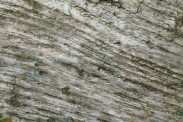 Image showing Abstract cracked wood