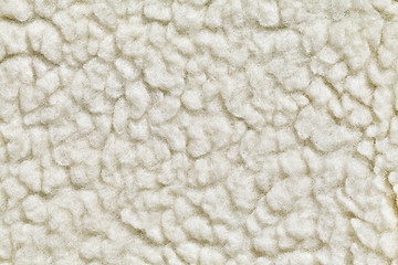 Image showing Felted wool texture