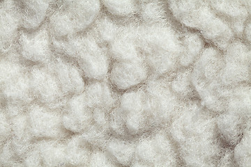 Image showing Felted wool texture