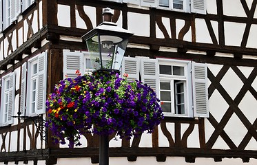 Image showing Street Light with Flowers