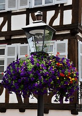 Image showing Street Light with Flowers