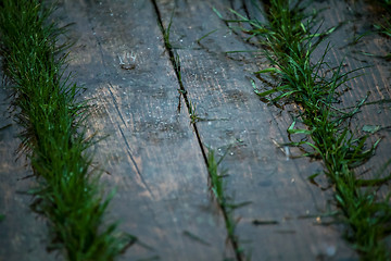 Image showing Grass and boards