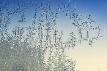 Image showing Frost bites on a window on a cold winter