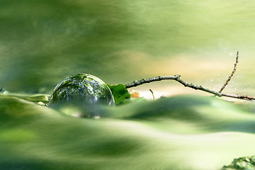 Image showing Glass orb in a peaceful forest shining in a river